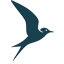 tern transparent small